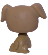 #0172 Boxer